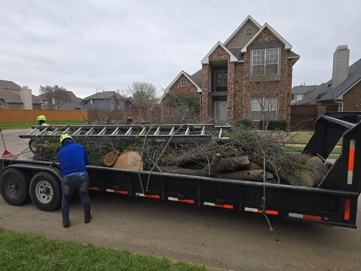 Expert Tree Pest Control with proper safety equipment in Edmore